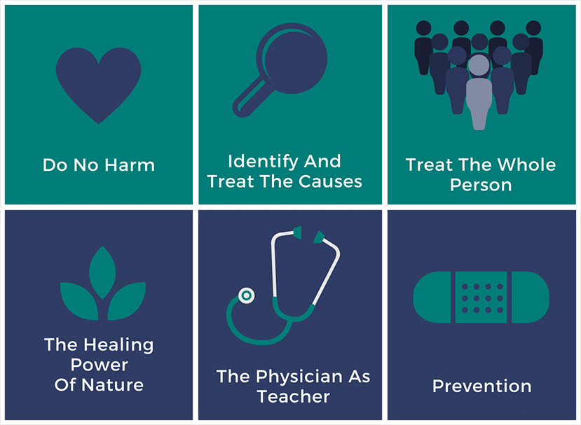 6-principles-of-naturopathic-medicine2