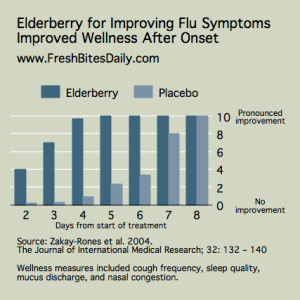 elderberry for improving flu symptoms