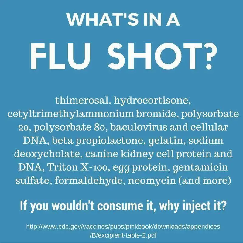 whats in a flu shot