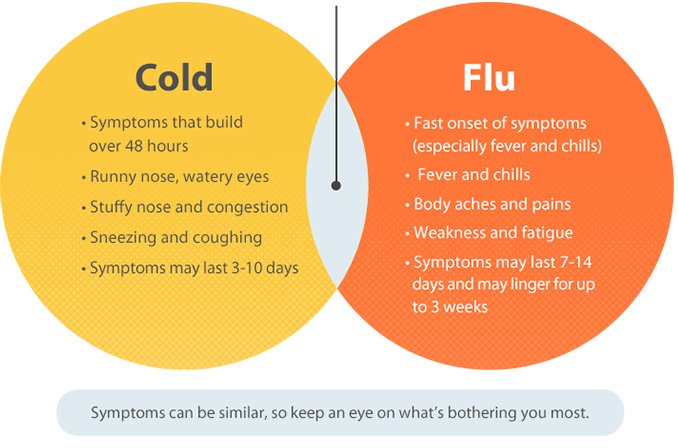 cold vs flu