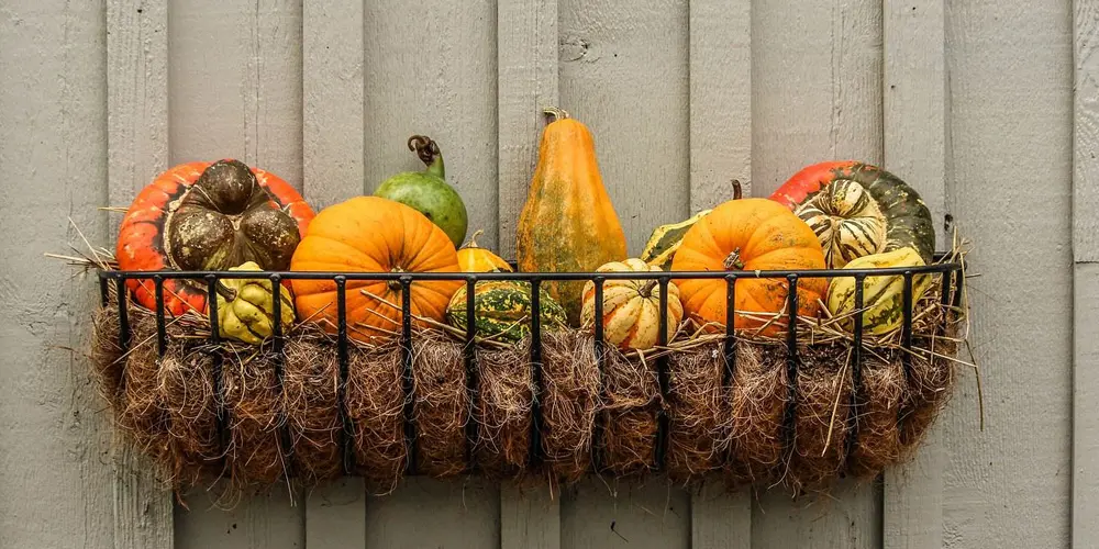 fall superfoods - pumpkin, squash.