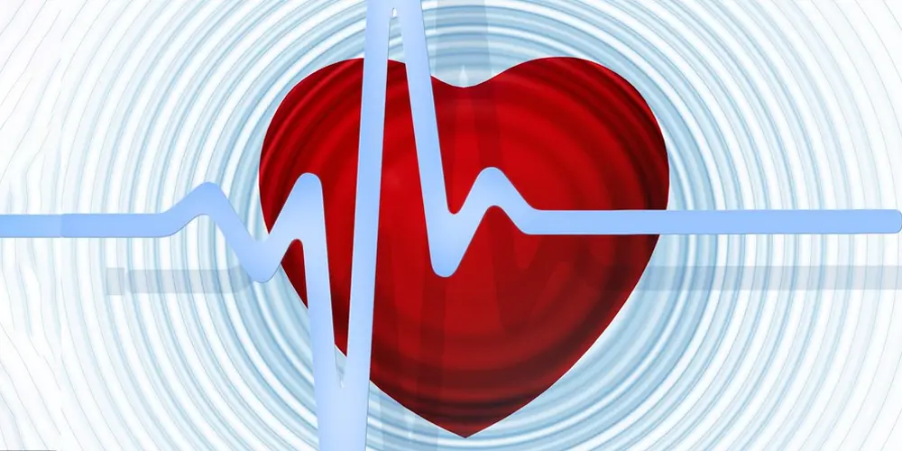 is wine heart healthy?
