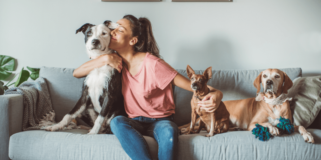 Pawsitively Healthy - living with pets.