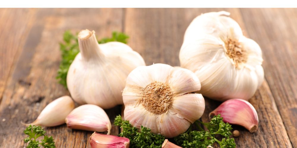 healing power of garlic.