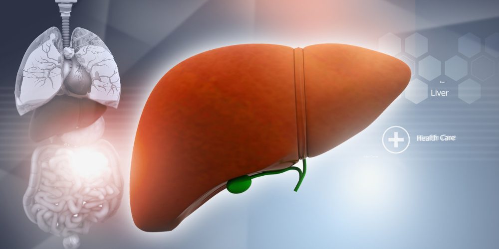 Liver