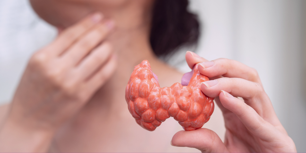 Woman holding a model of the thyroid gland while touching her neck.