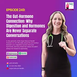 Gut hormone connection - holistic podcast with Dr Erin Ellis.